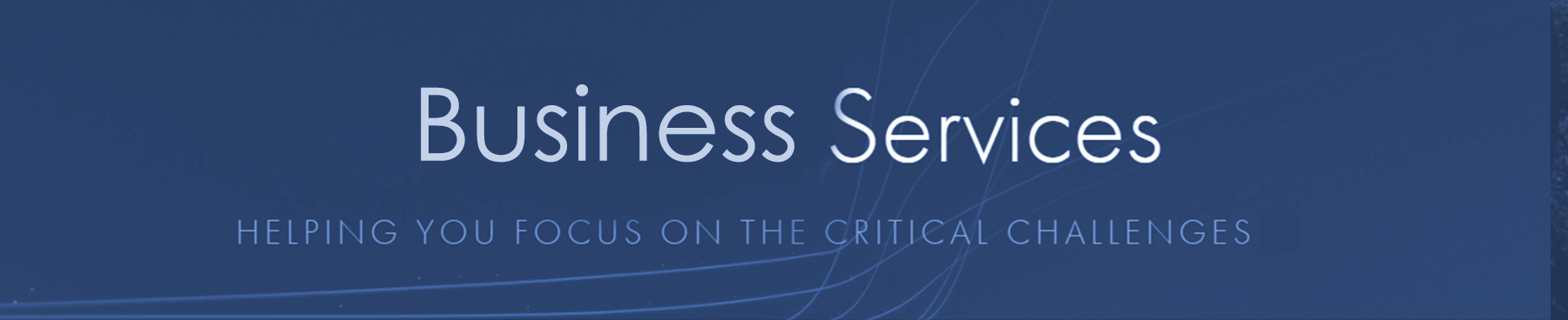 Business Services