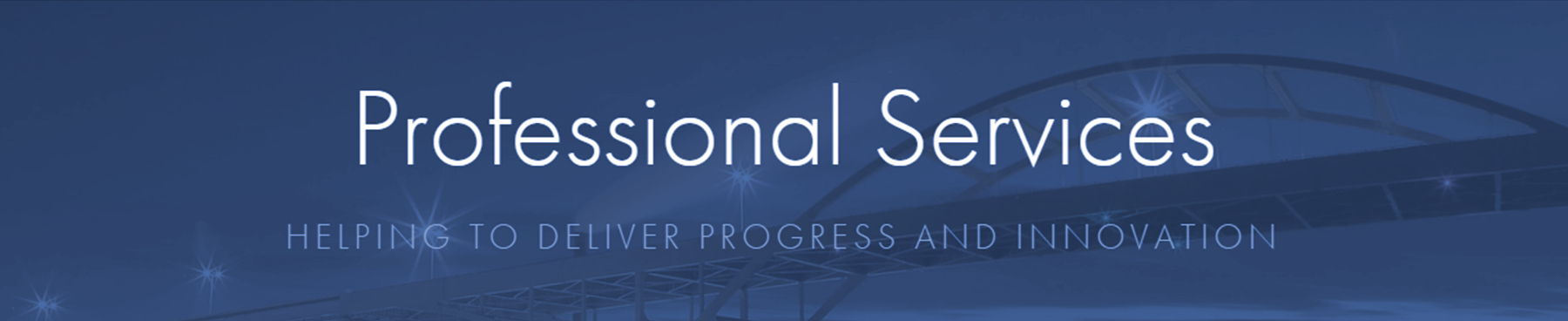 Professional IT Services
